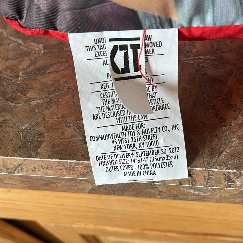 One Direction Picture Perfect Decorative Pillow - Picture 4 of 7